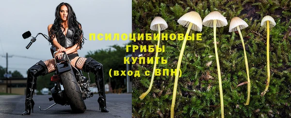 шишки Баксан