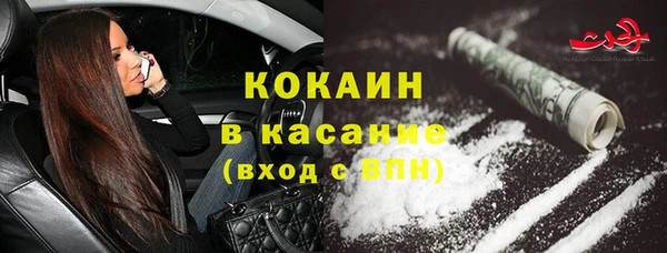 индика Балабаново