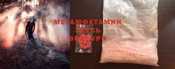 индика Балабаново