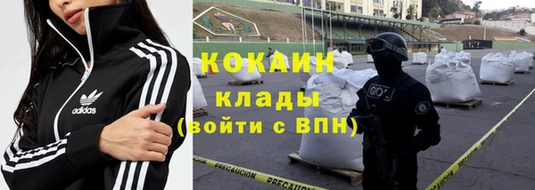 шишки Баксан