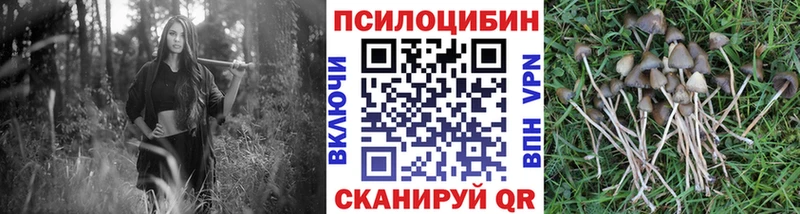 Купить  Тихвин  Псилоцибиновые грибы мухоморы 